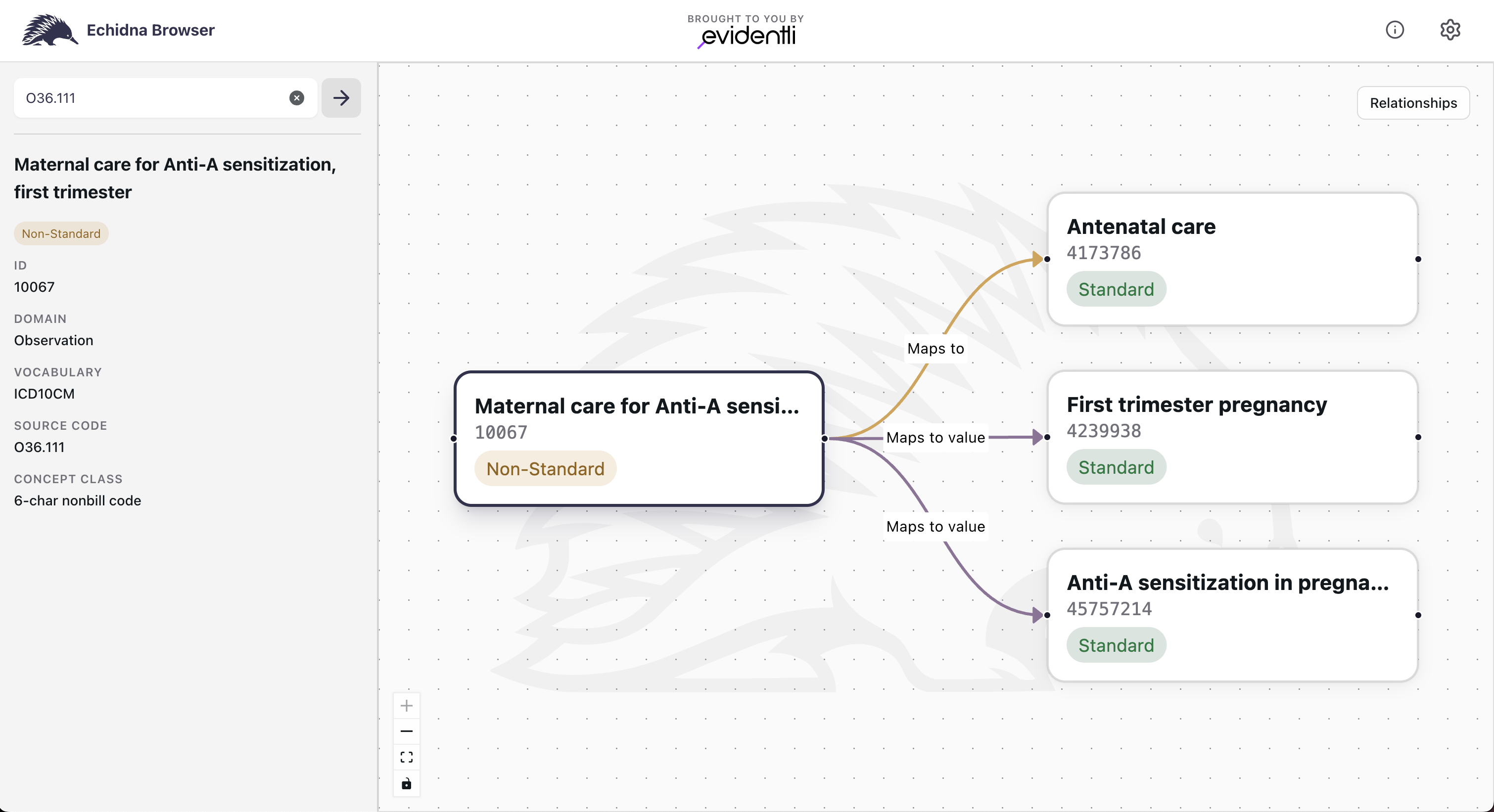 Echidna Browser showing concept 10067 (Non-Standard, ICD10CM) with a Maps to arrow to 4173786 (Antenatal care, Standard) and two Maps to value arrows to 4239938 and 45757214 (both Standard)